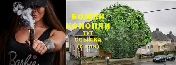 спиды Киреевск