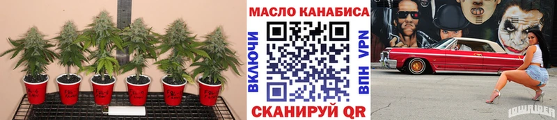 Купить  Никольское  ТГК вейп 